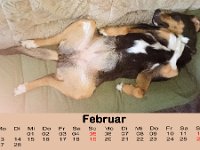 03Februar