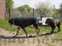 06Mai
