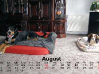 09August