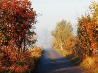 11Oktober