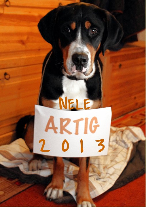 Kalender 2013