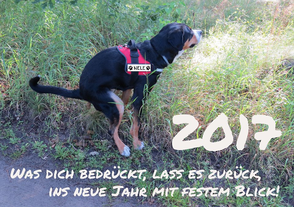 Kalender 2017