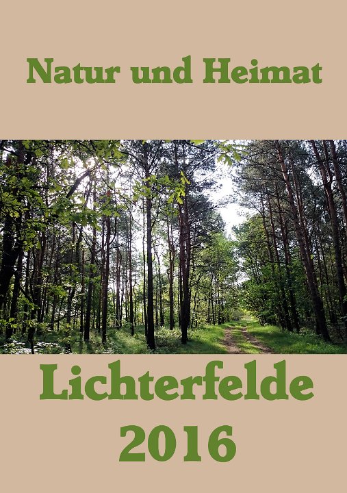 Kalender 2016